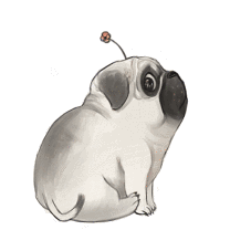 ../../../_images/course6.2.gif